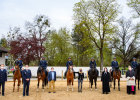 Gruppenbild vor Pferden mit Reitern